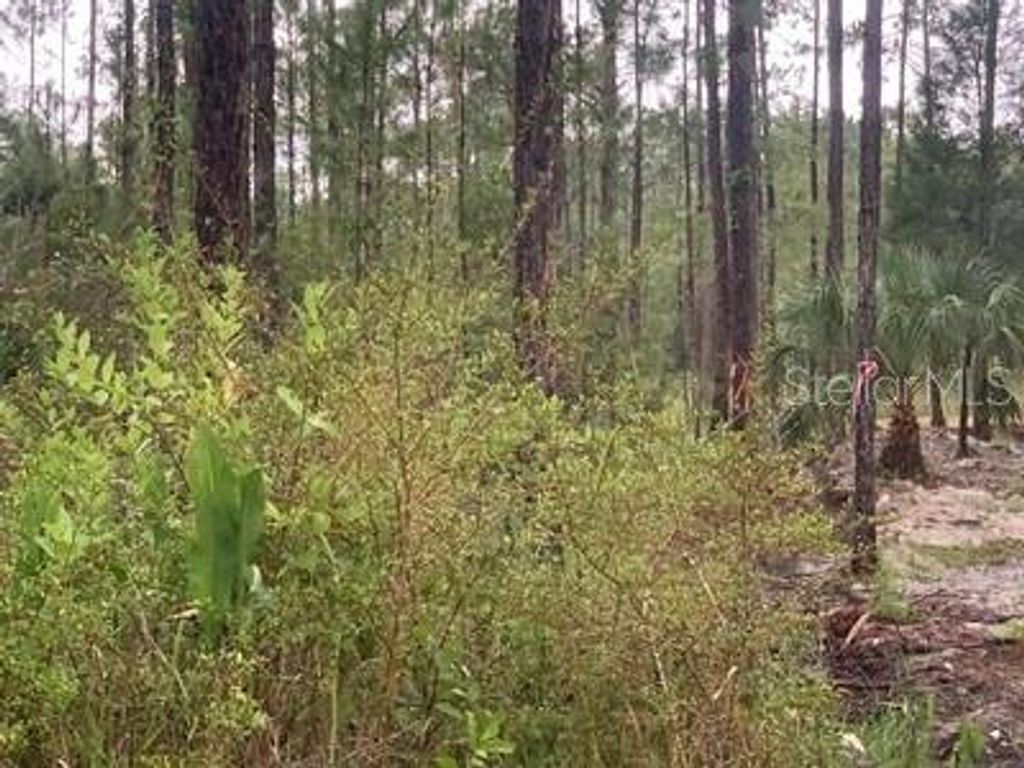 Photo of Tbd Otter Drive, Webster, FL 33597 (MLS # G5107041)