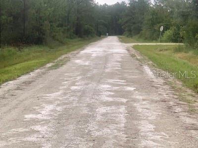 RIDGE MANOR ESTATE - Land