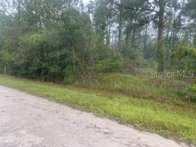 RIDGE MANOR ESTATE - Land