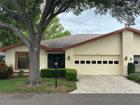 A home in SUN CITY CENTER