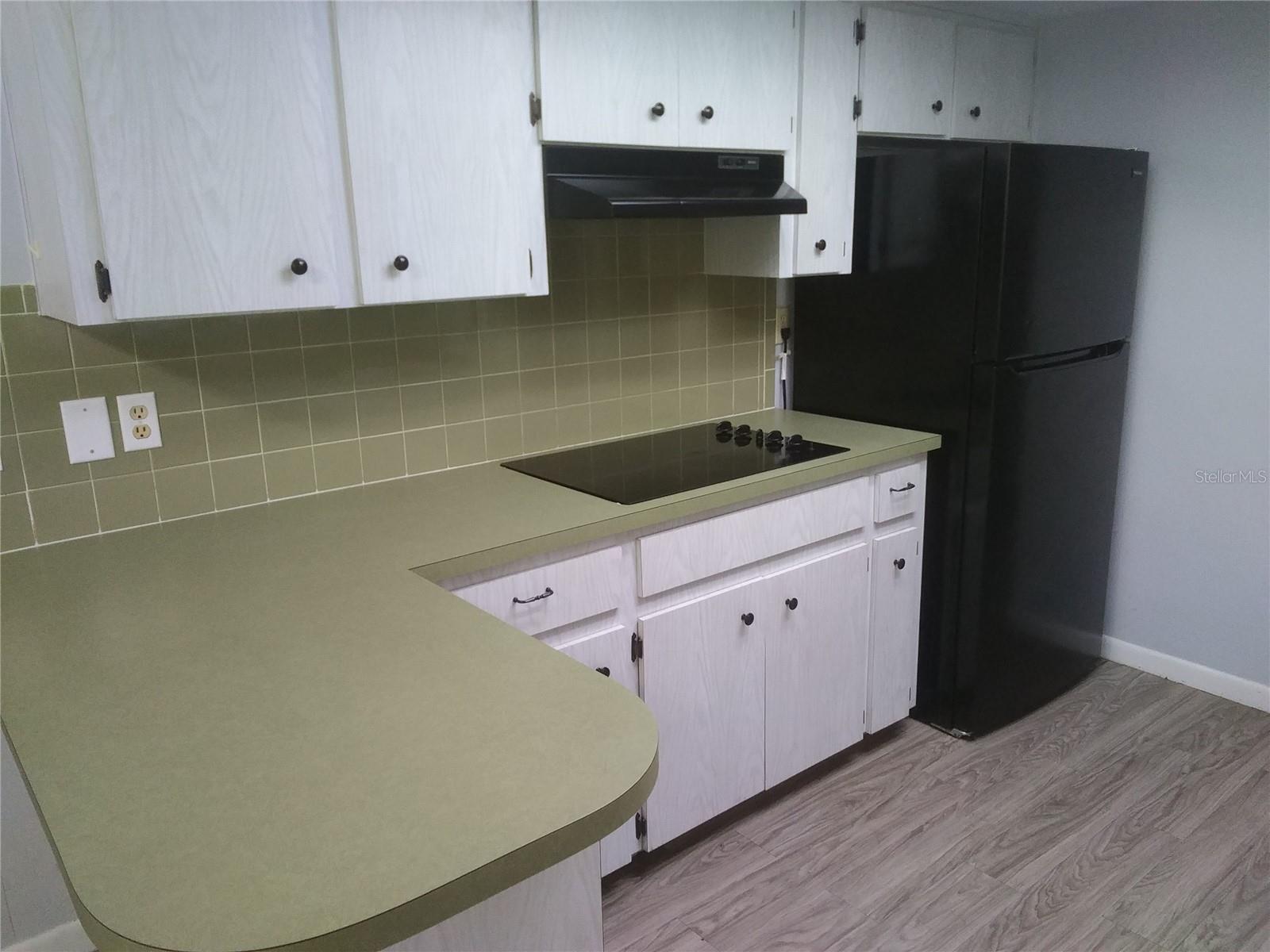 VILLAGE GREEN UNIT 01 - Residential Lease