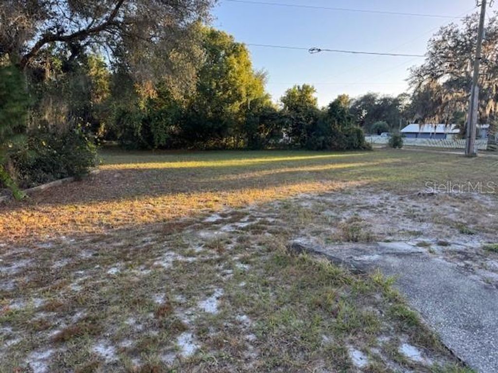 Photo of 45828 Deer Street, Paisley, FL 32767 (MLS # G5105042)