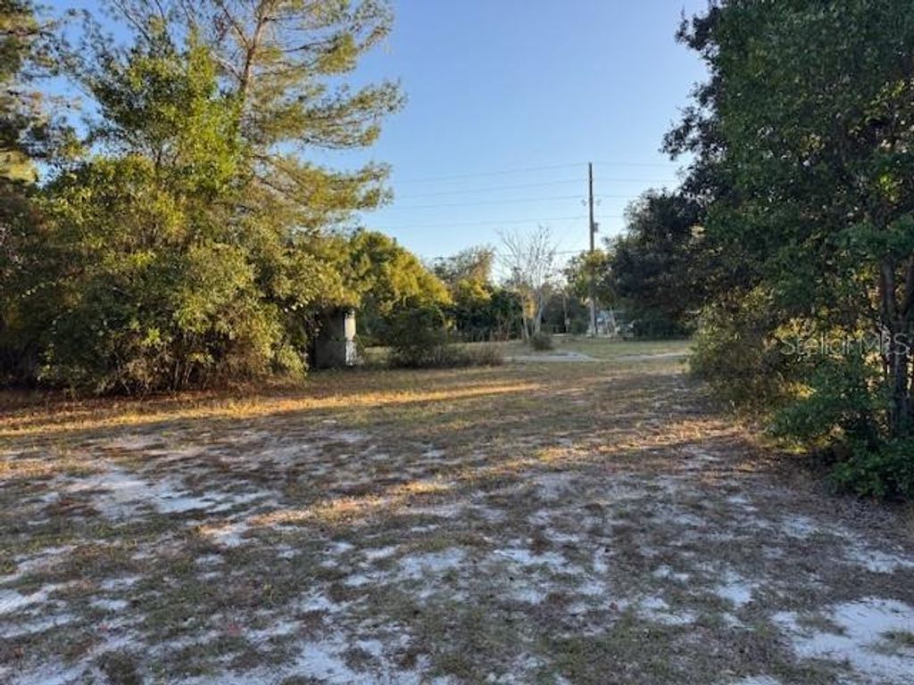 Photo of 45828 Deer Street, Paisley, FL 32767 (MLS # G5105042)