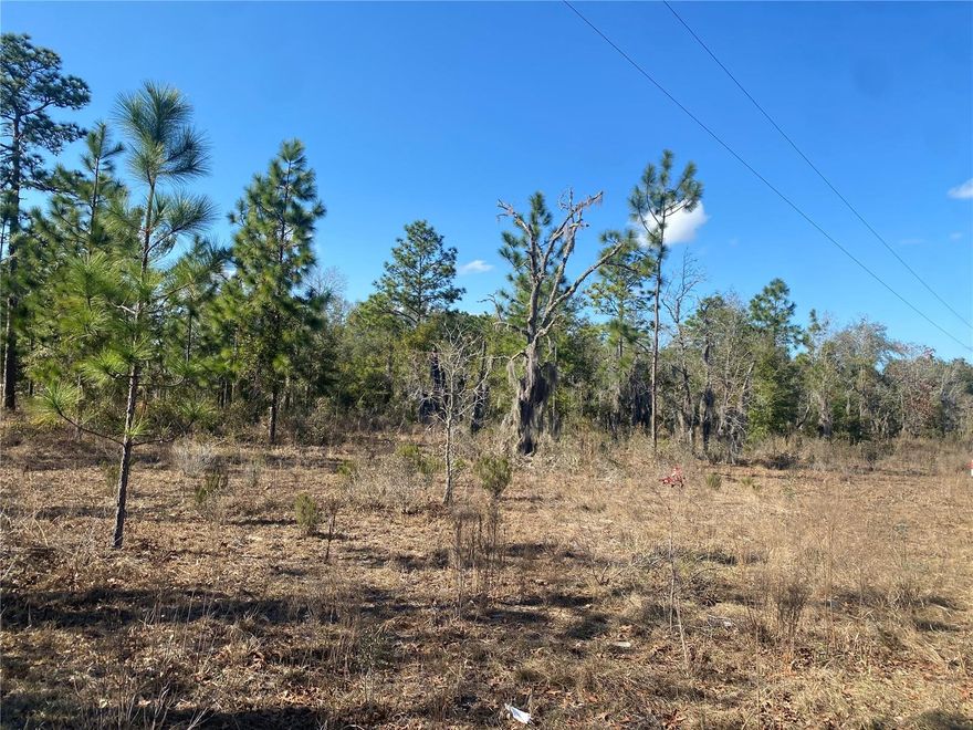 Looking for the perfect spot to bring your vision to life? This spacious 0.4-acre lot in Hawthorne is ready for your dreams to become reality. With minimal clearing needed and sitting high and dry, this property offers a hassle-free start to your build, manufactured or modular home. Take advantage of NO IMPACT FEES in beautiful Putnam County. Property is about 2 miles from SR-20, making commuting a breeze in any direction. Whether you're heading to Gainesville, Palatka, Ocala, or the beaches, you're only 30-45 minutes away from it all.