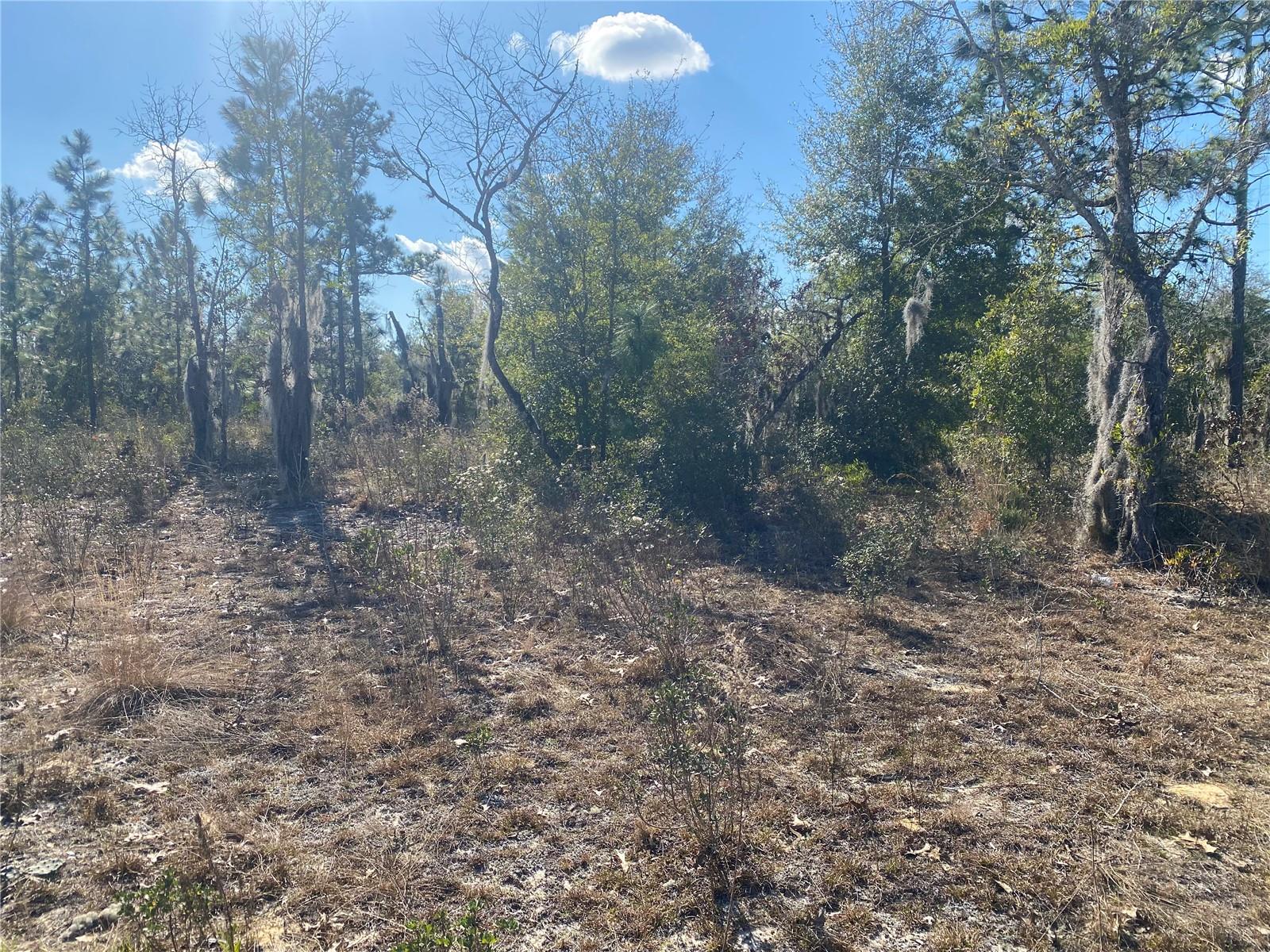 WEST LAKE ESTATES - Land