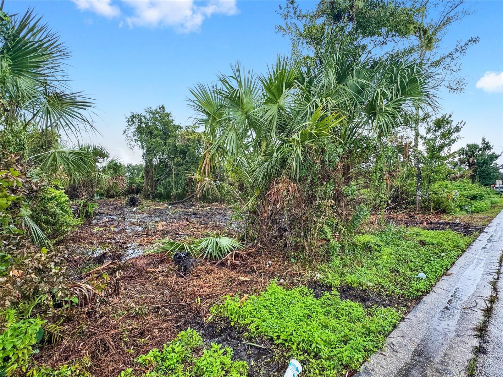 DREAMWORLD 3RD SECTION - Land