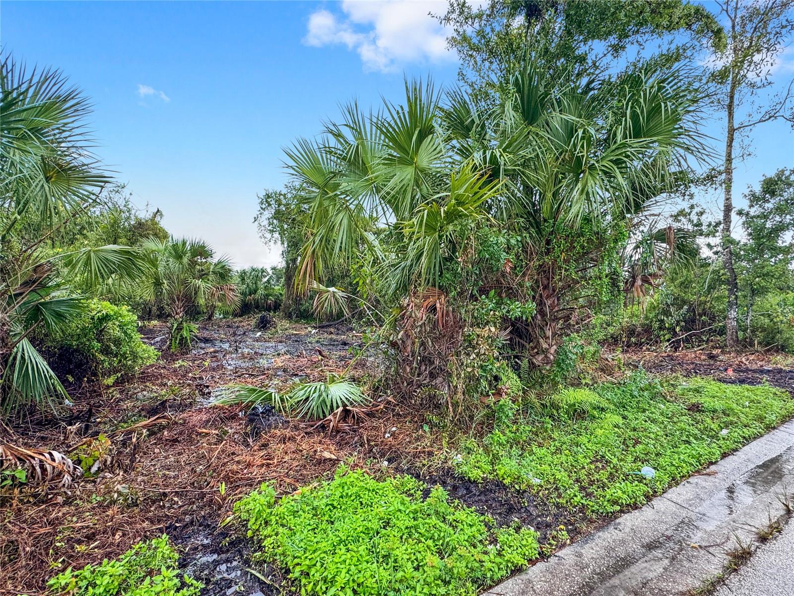 DREAMWORLD 3RD SECTION - Land