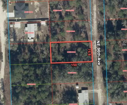 Photo of 6624 NE 96 Avenue, Bronson, FL 32621 (MLS # O6421283)