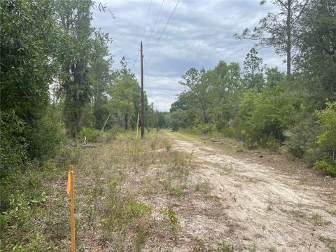 Tiny photo for 6624 NE 96 Avenue, Bronson, FL 32621 (MLS # O6421283)