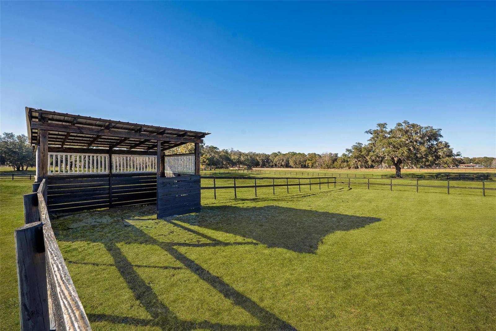 PINNACLE PARK - Land