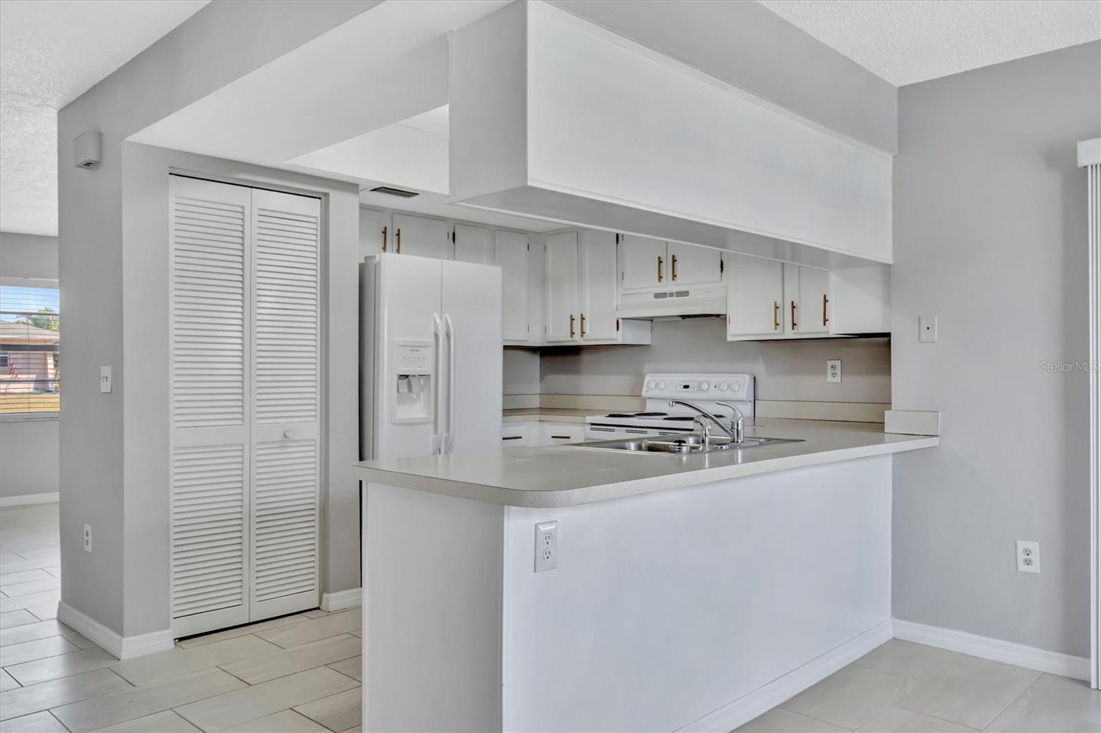 LAKE SARASOTA - Residential