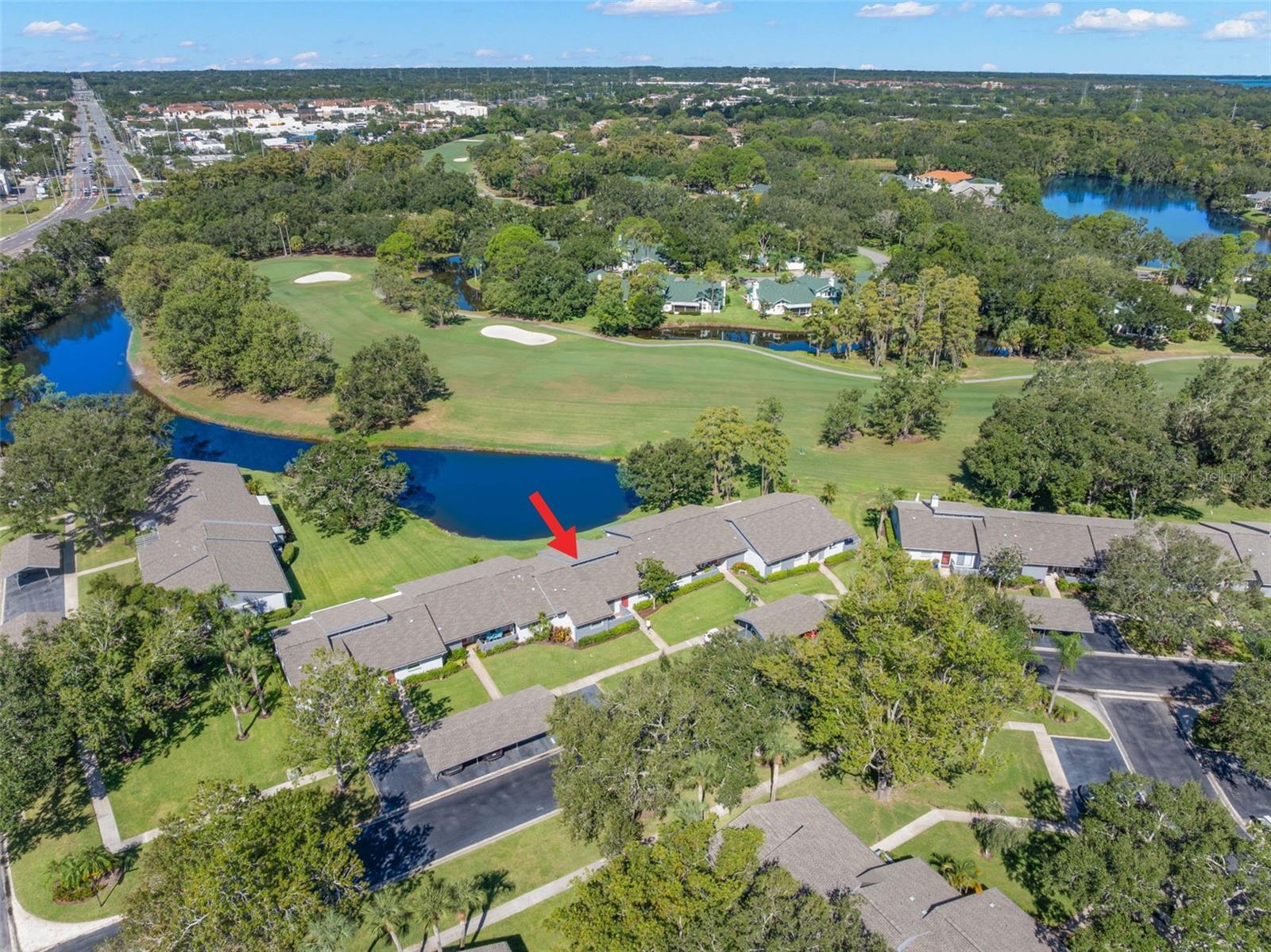 EAST LAKE WOODLANDS CLUSTER HOMES - Residential