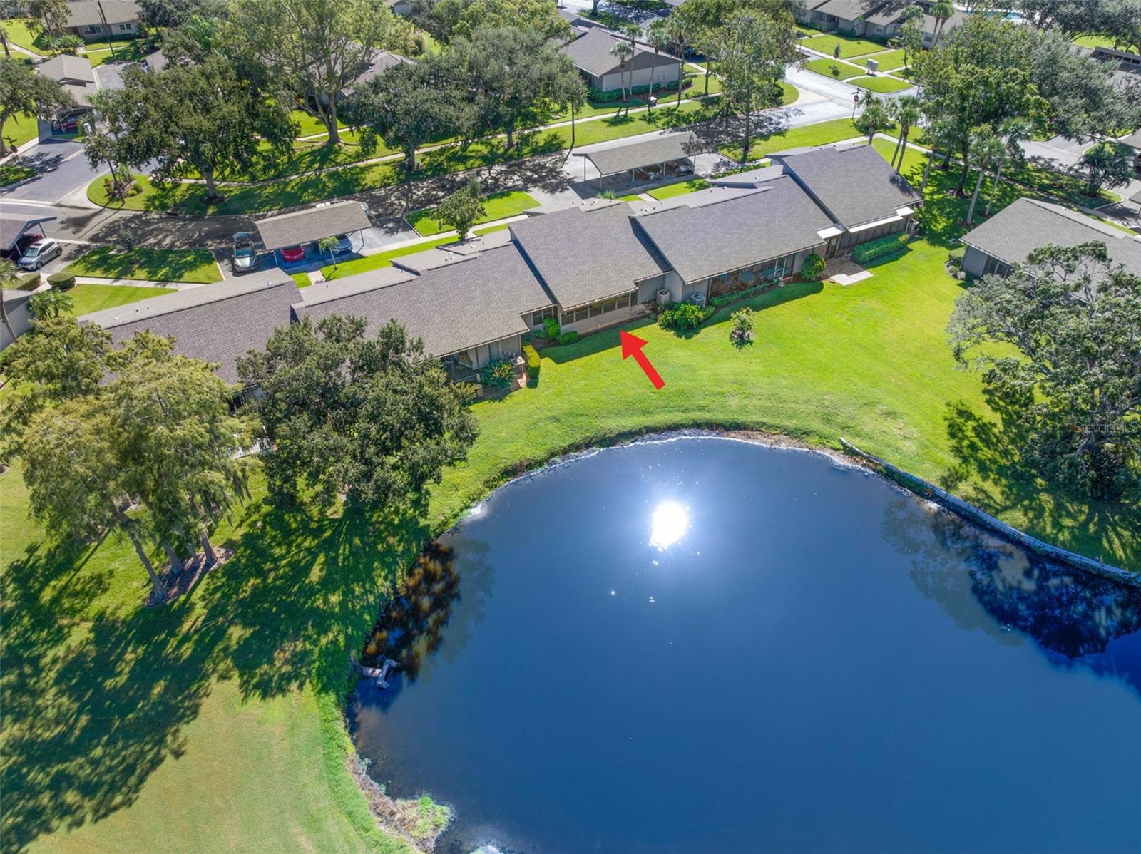 EAST LAKE WOODLANDS CLUSTER HOMES - Residential