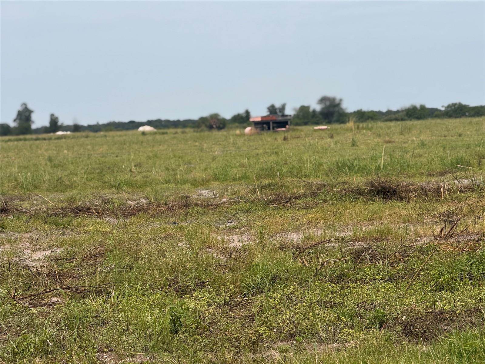 The property consists of approximately 48 acres of agricultural land zoned A-5. It has been cleared and is ready for planning a new agricultural venture. There is an old deep well that was previously used for an orange grove, and a drainage canal surrounds the property. A culvert is also in place. This space has great potential to be developed into an amazing ranch. 48 acres of agricultural land zoned A-5. It has been cleared and is ready for planning a new agricultural venture. There is an old deep well that was previously used for an orange grove, and a drainage canal surrounds the property. A culvert is also in place. This space has great potential to be developed into an amazing ranch site. high and dry NO Flood Zone