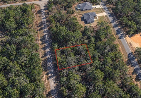 Photo of 1602 W Hialeah Drive, Citrus Springs, FL 34434 (MLS # TB8550964)