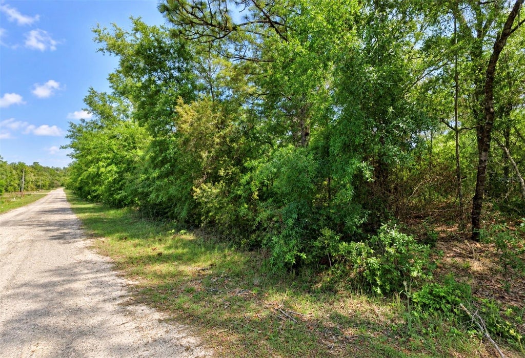 Photo of 1602 W Hialeah Drive, Citrus Springs, FL 34434 (MLS # TB8550964)