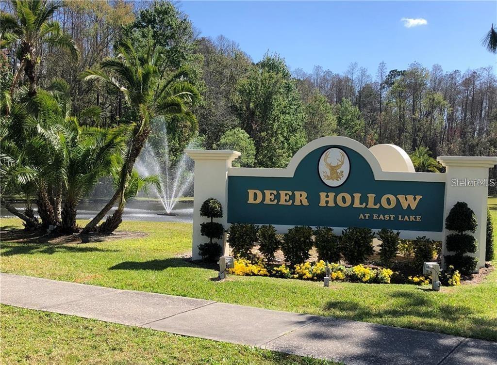 PINE RIDGE AT LAKE TARPON - Residential Lease