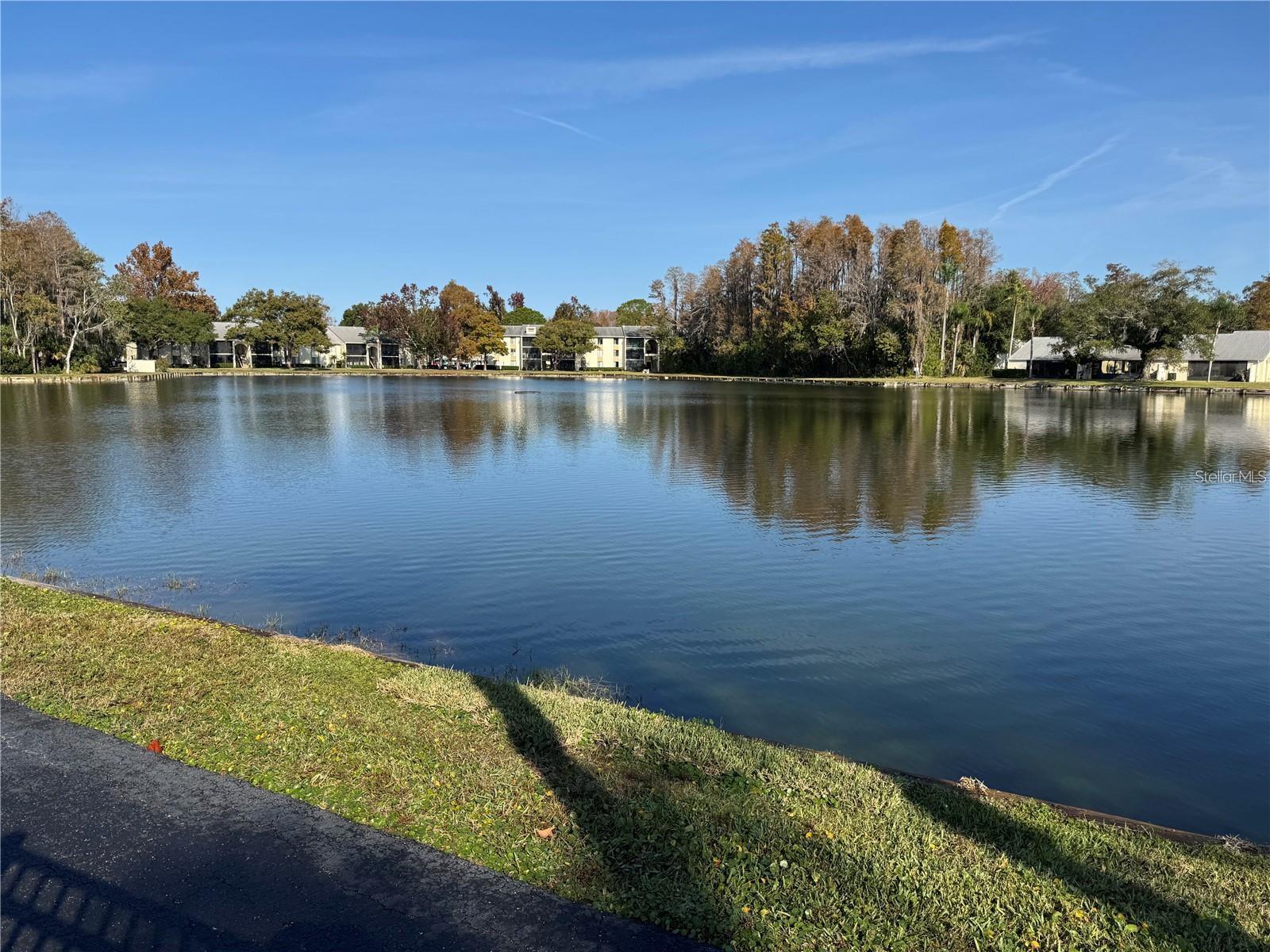 PINE RIDGE AT LAKE TARPON - Residential Lease