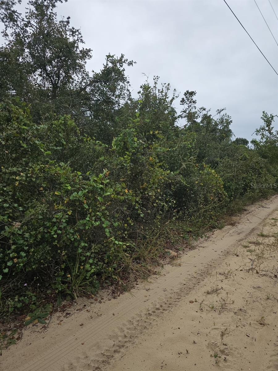 Lots 33:34:35 SE 140TH PLACE