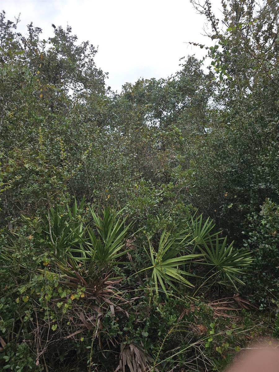 Lots 33:34:35 SE 140TH PLACE