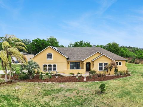 Tiny photo for 7139 Groveland Farms Road, Groveland, FL 34736 (MLS # G5110261)