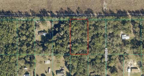 Tract 15 SW 150TH STREET DUNNELLON FL 34433