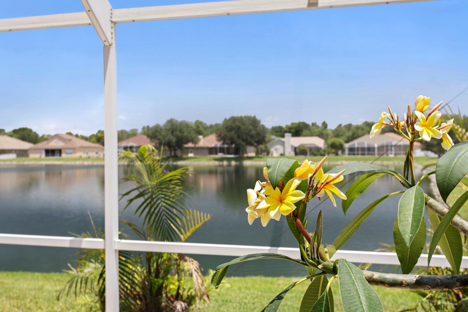 VALENCIA GARDENS PH 1 - Residential