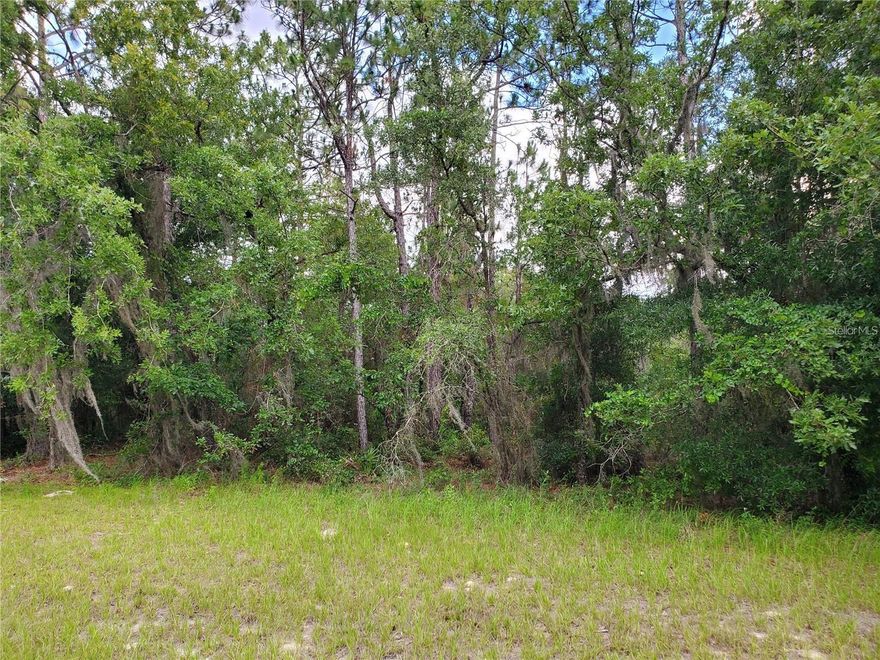 Super buildable lot! Come see the site of your new home.