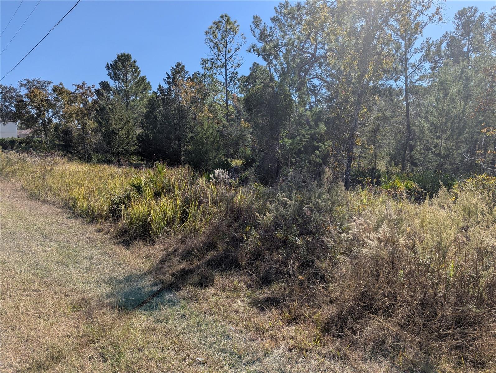 ROYAL HIGHLANDS - Land