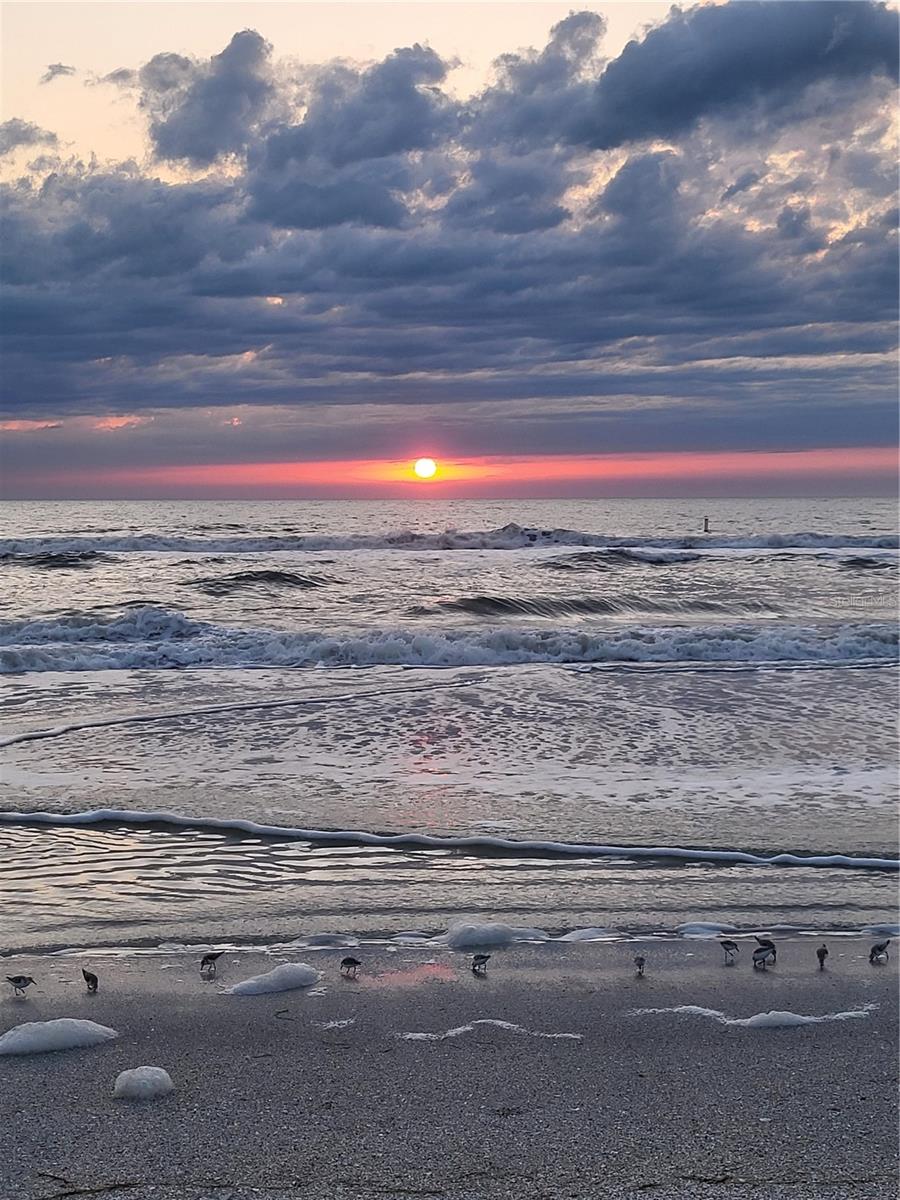 BAY MARINER THE CONDO - Residential