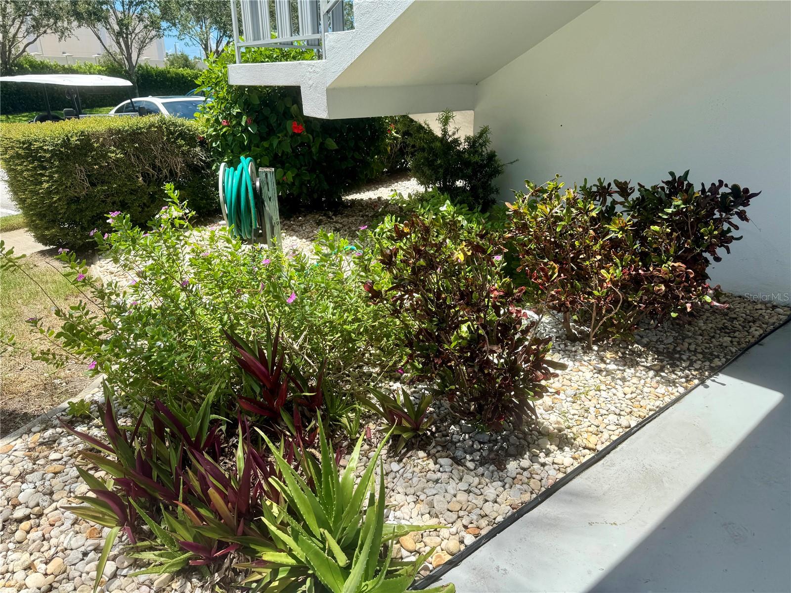 SEMINOLE GARDEN APTS CO-OP - Residential