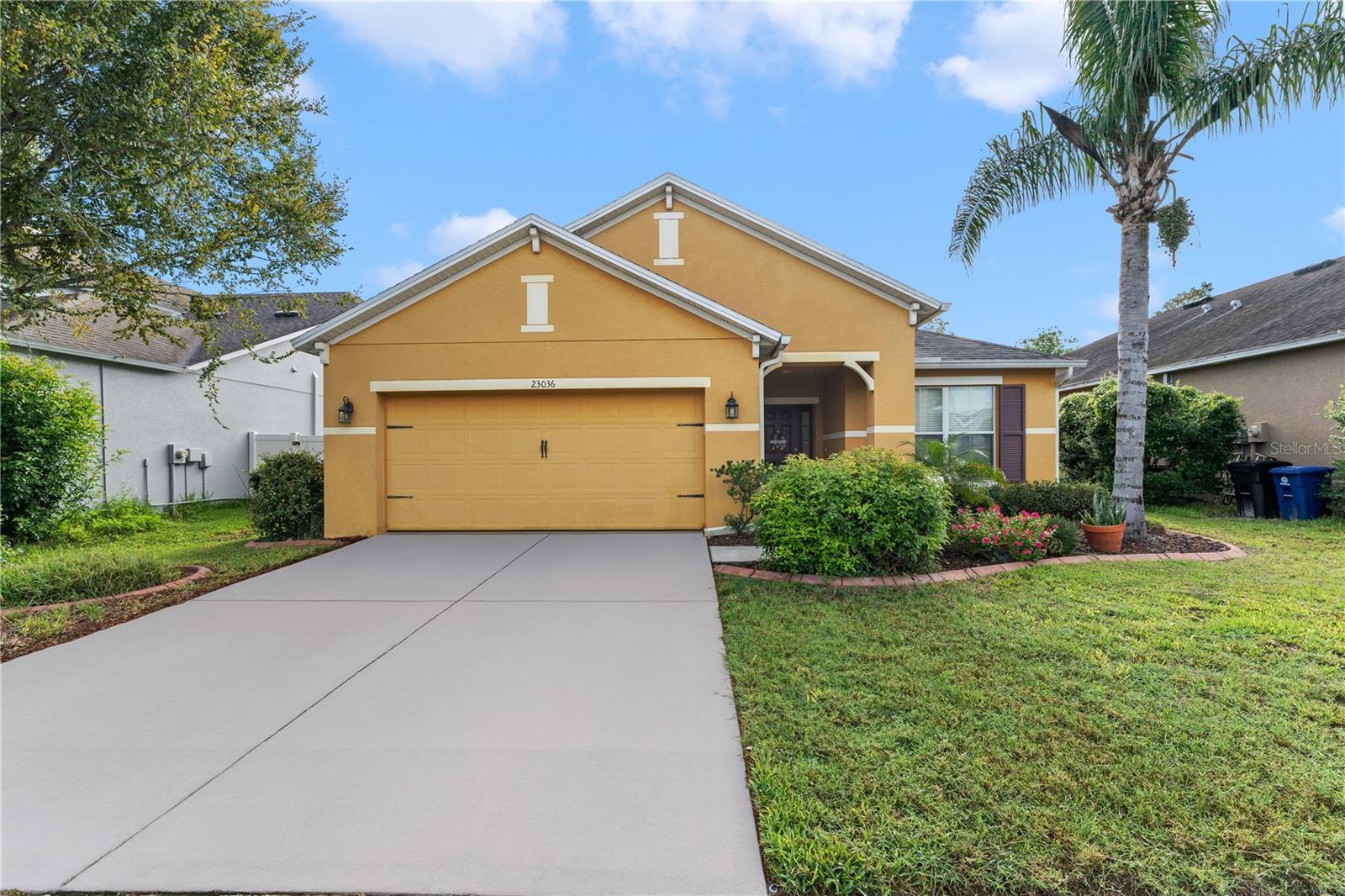 23036 WOOD VIOLET COURT