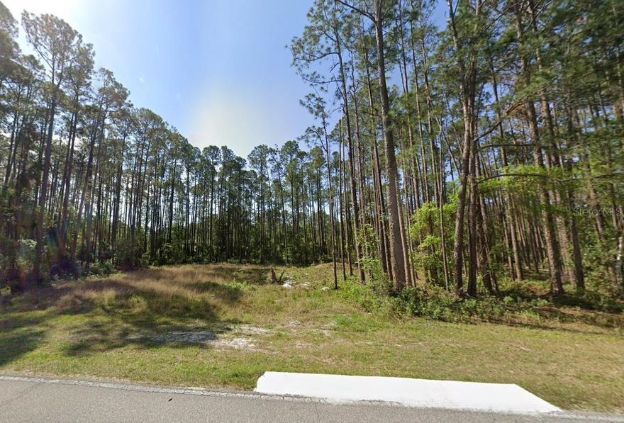 Opportunity to own two connected parcels together or separately! Priced at $30,000 total or $15,000 each, these wooded .23-acre lots total nearly half an acre (.46 acres) and offer flexible building options, including modular, metal, and prefab homes. Motor homes are permitted during the winter months, making this ideal for seasonal or full-time living. Situated off a paved road, owners enjoy access to Georgetown Cove amenities including a private boat ramp, fishing dock, and campground on Lake George. Optional HOA membership (under $60/year per lot) provides access to a private 10-acre park with RV spots, electric and water hookups, boat slip, 200-ft pier, picnic area, fire pits, and beautiful lake views—perfect for affordable RV wintering in Florida!