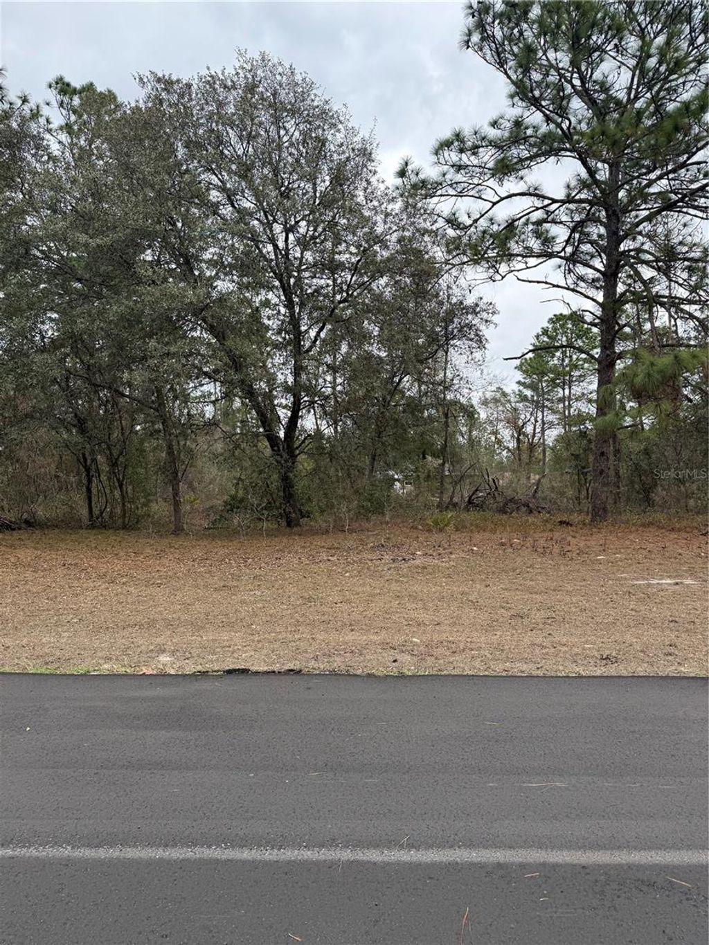 Photo of SW 135th Loop, Ocala, FL 34473 (MLS # OM718939)