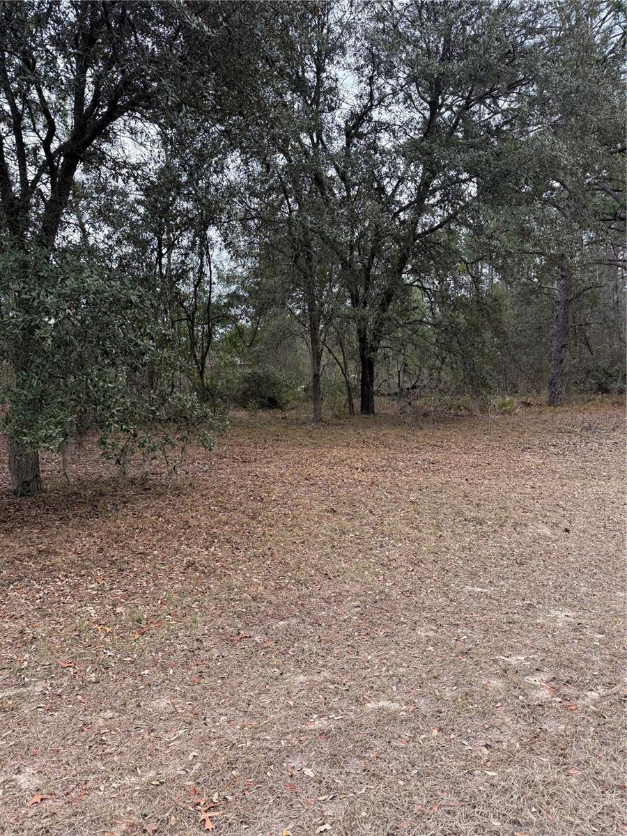 MARION OAKS UN 11 - Land