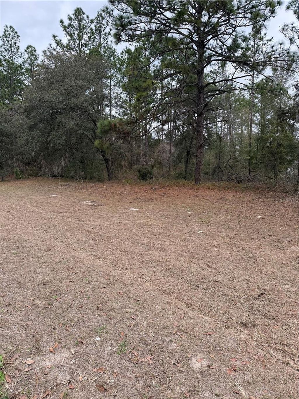 Photo of SW 135th Loop, Ocala, FL 34473 (MLS # OM718939)
