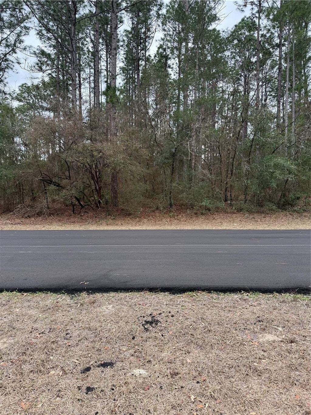 Photo of SW 135th Loop, Ocala, FL 34473 (MLS # OM718939)
