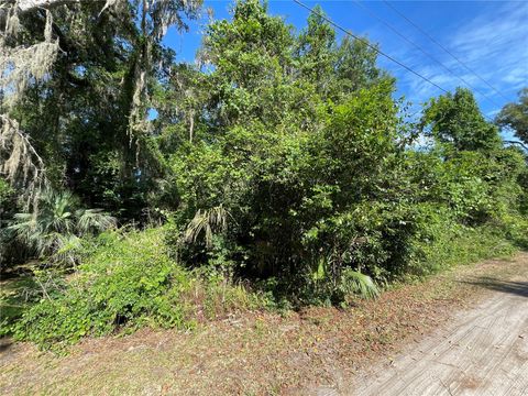 NE 37TH TERRACE CITRA FL 32113