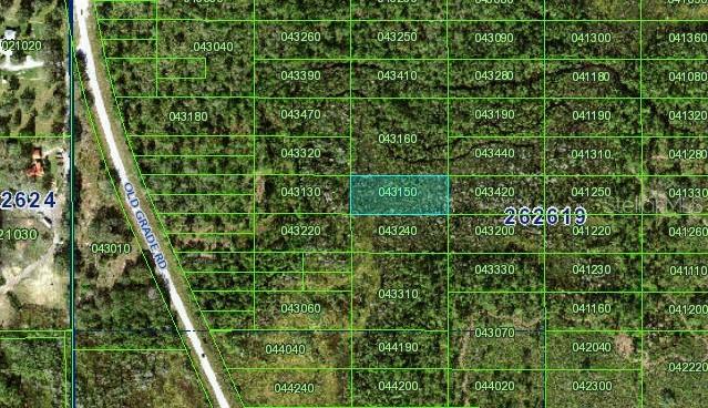Come own an acre of untouched Central Florida in all of it's natural beauty. This property is currently inaccessible, but it's located just a couple of miles North of I4 and about 2 acres East of Old Grade Rd.