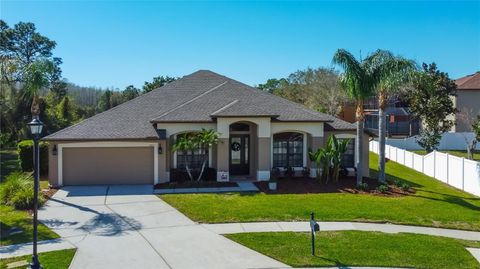 Photo of 14813 Princewood Lane, Land O Lakes, FL 34638 (MLS # TB8361291)