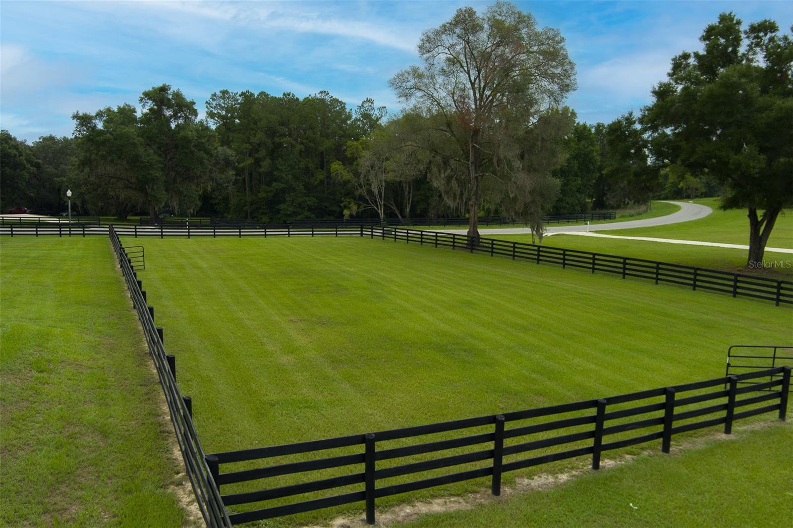 EQUESTRIAN SPRINGS - Farm