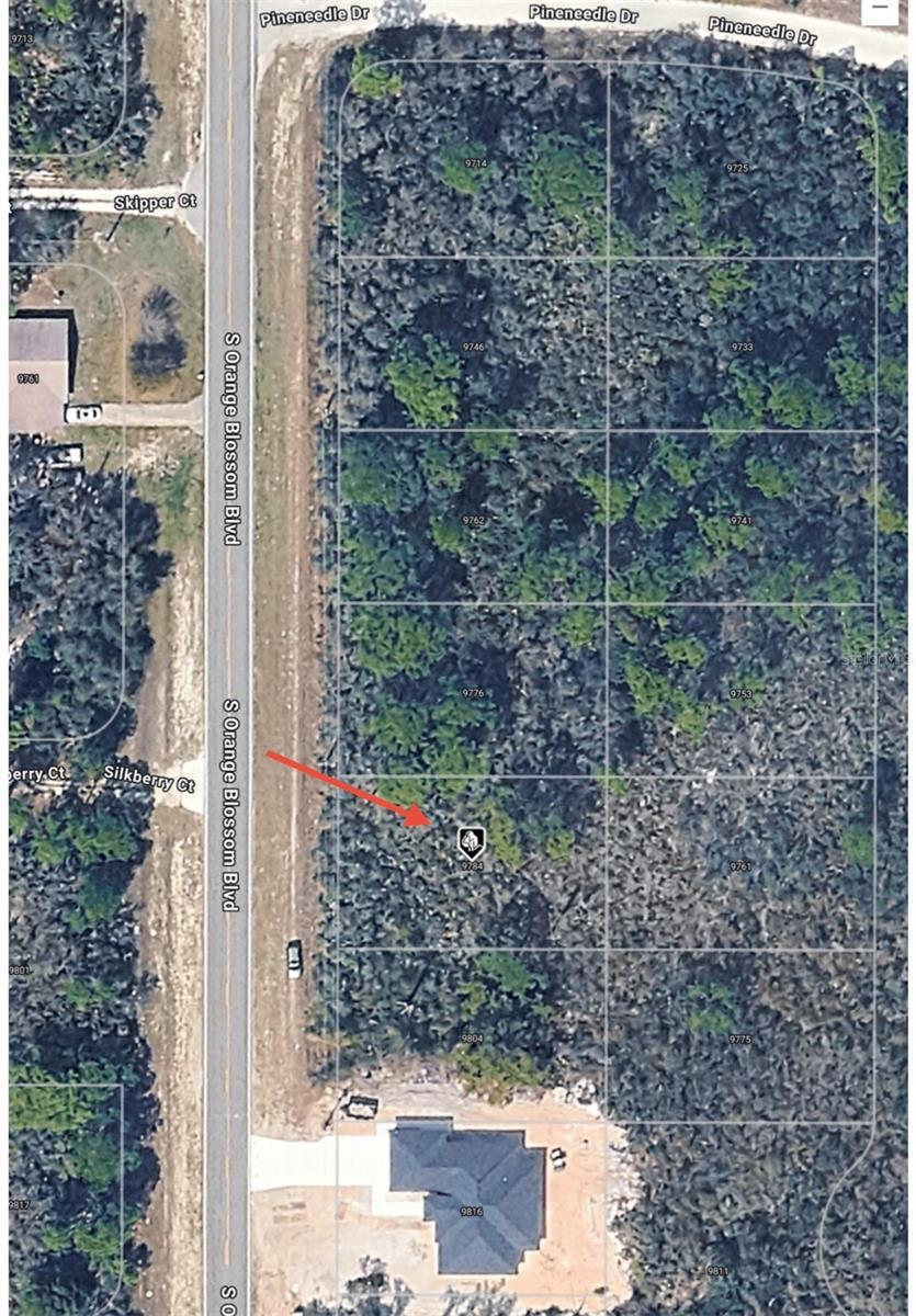 9784 S ORANGE BLOSSOM BOULEVARD