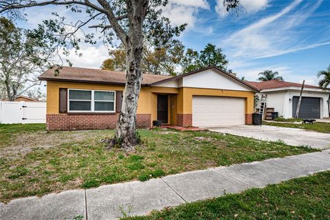 6445 109TH AVENUE N PINELLAS PARK FL 33782
