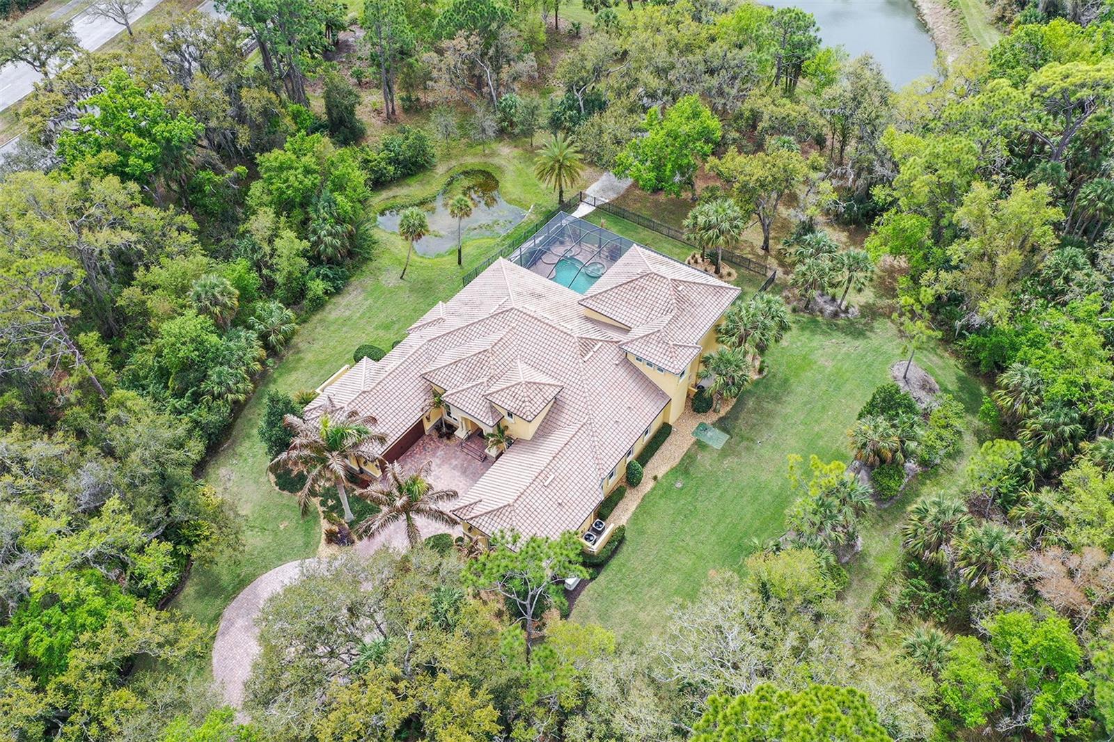 FOREST AT THE HI HAT RANCH - Residential