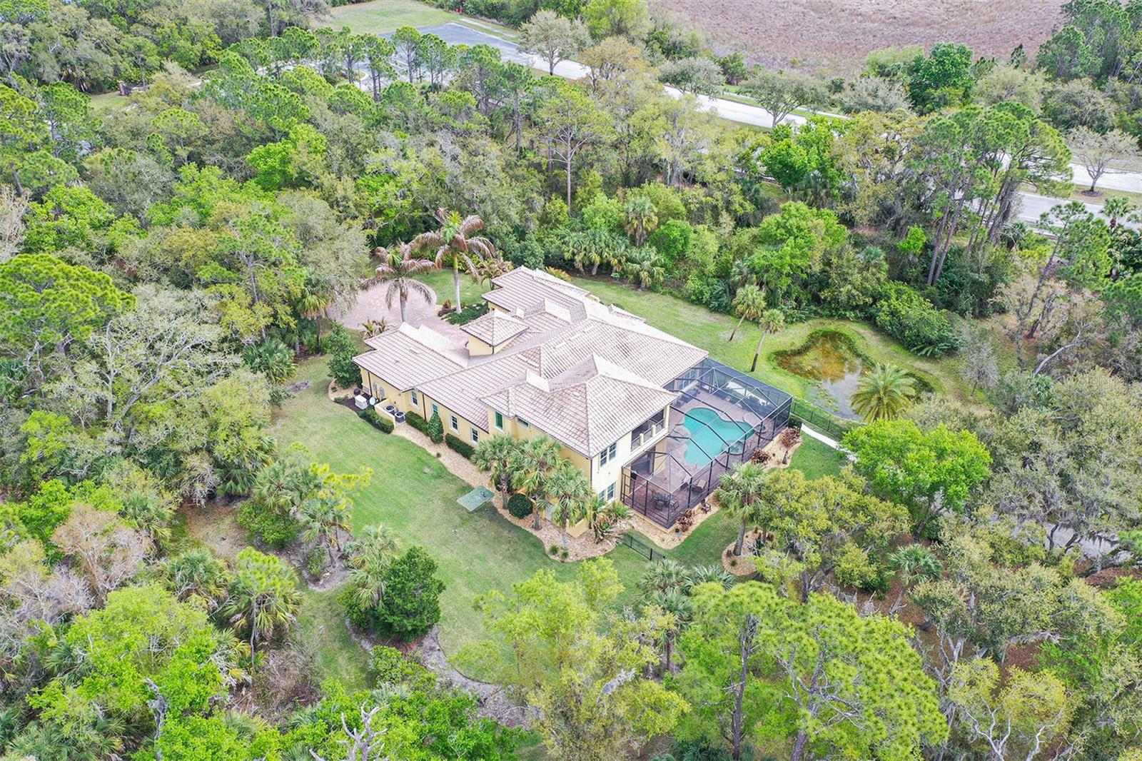 FOREST AT THE HI HAT RANCH - Residential