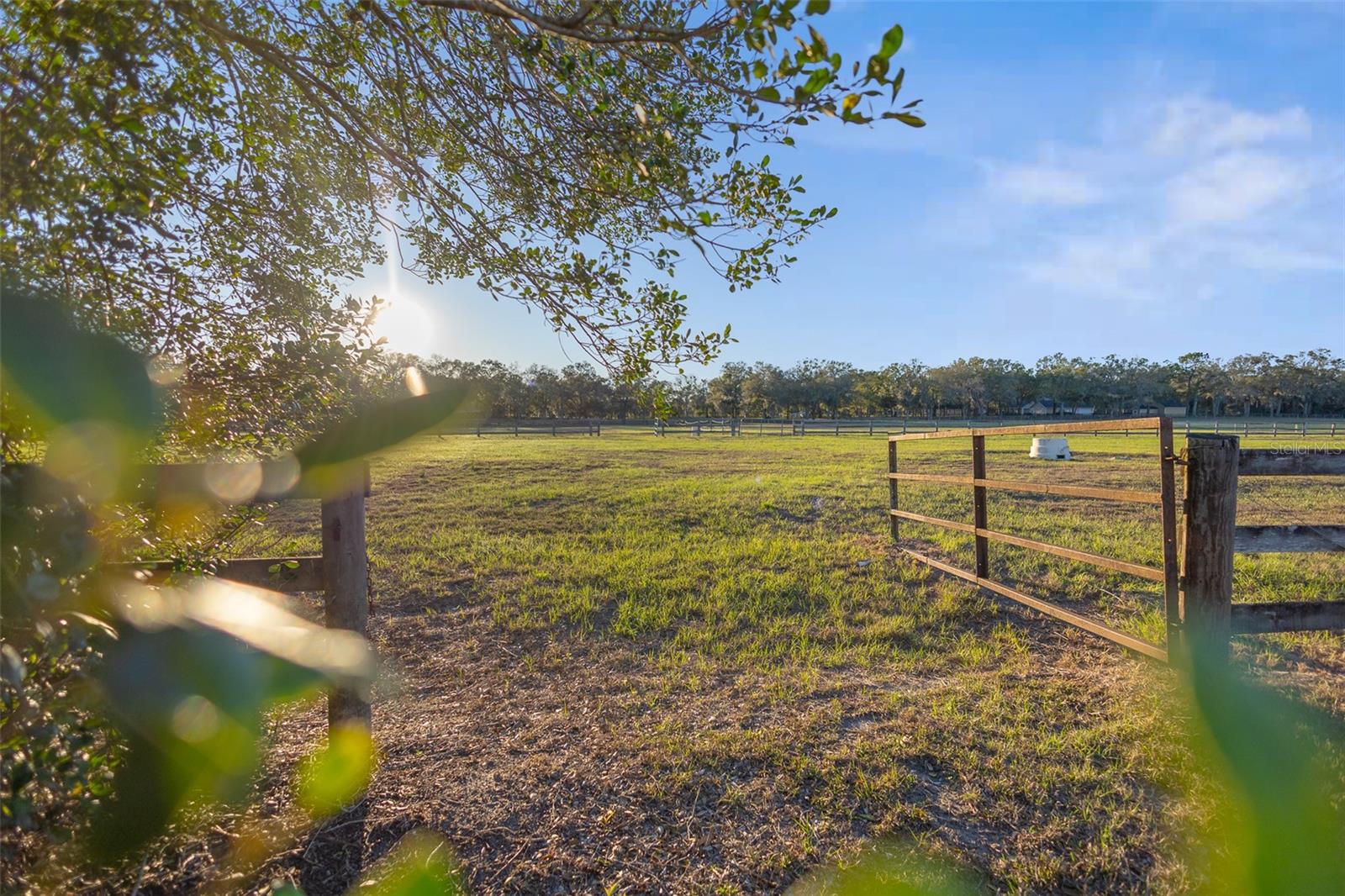 FARM ACREAGE - NO SUBDIVISION - Residential
