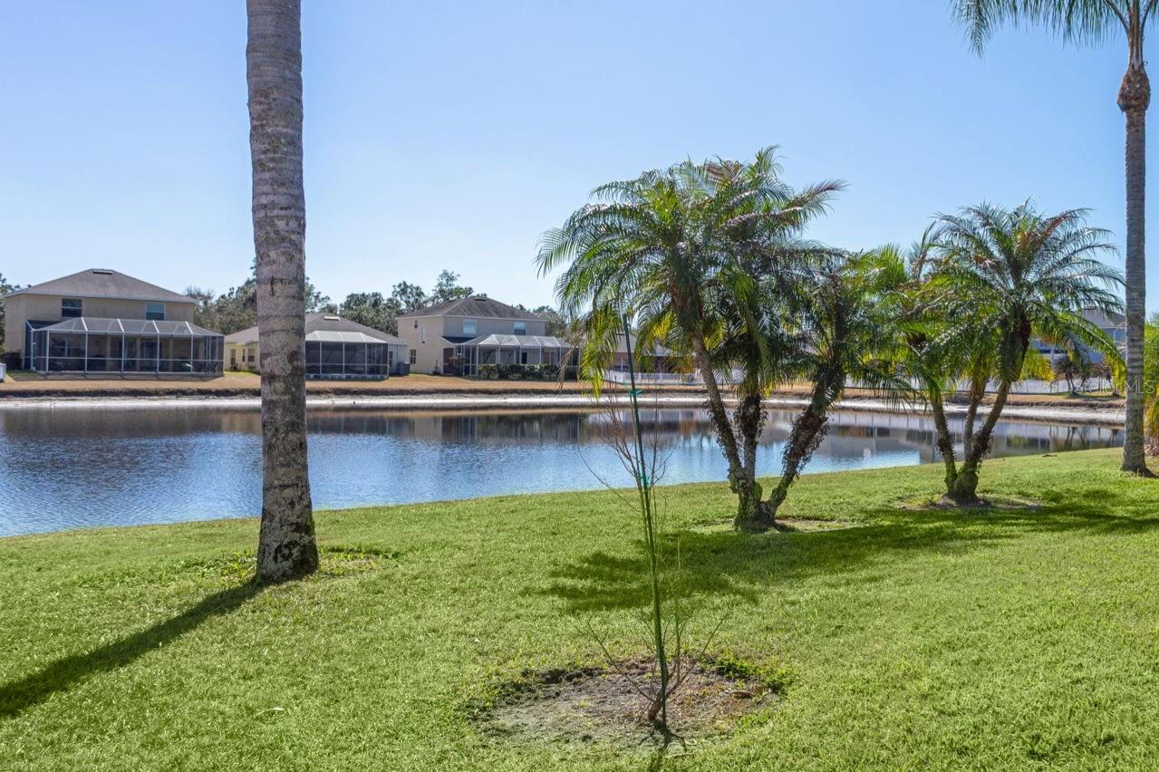 LIVE OAK PRESERVE - Residential