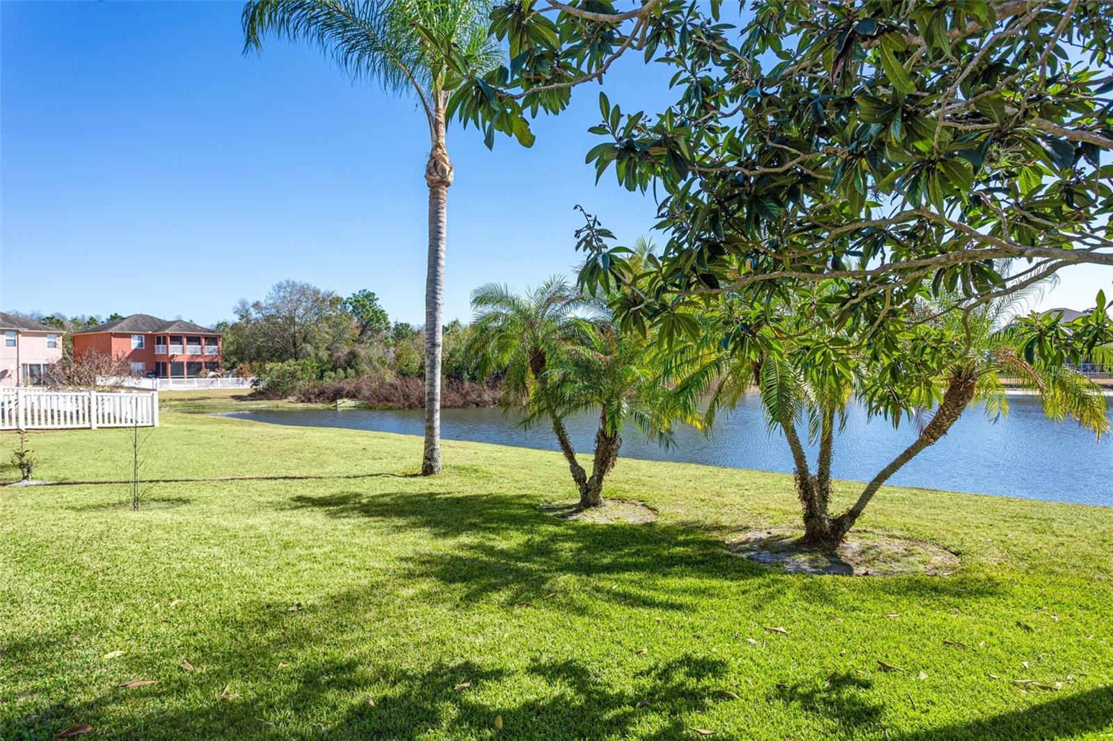 LIVE OAK PRESERVE - Residential