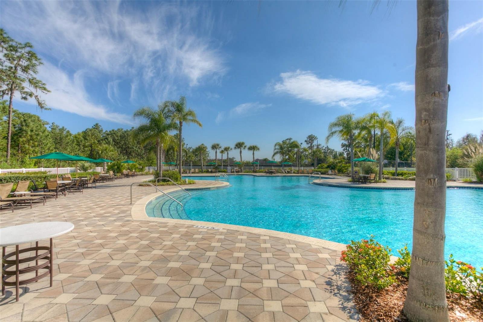 LIVE OAK PRESERVE - Residential