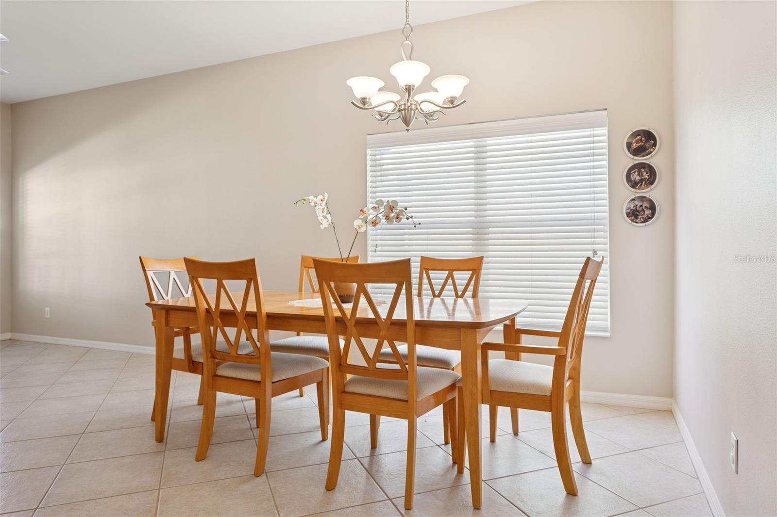 LIVE OAK PRESERVE - Residential